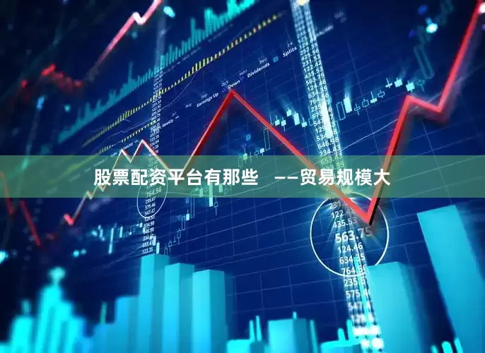 股票配资平台有那些   ——贸易规模大