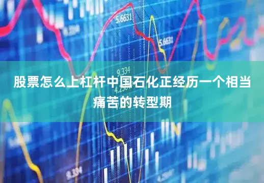 股票怎么上杠杆中国石化正经历一个相当痛苦的转型期