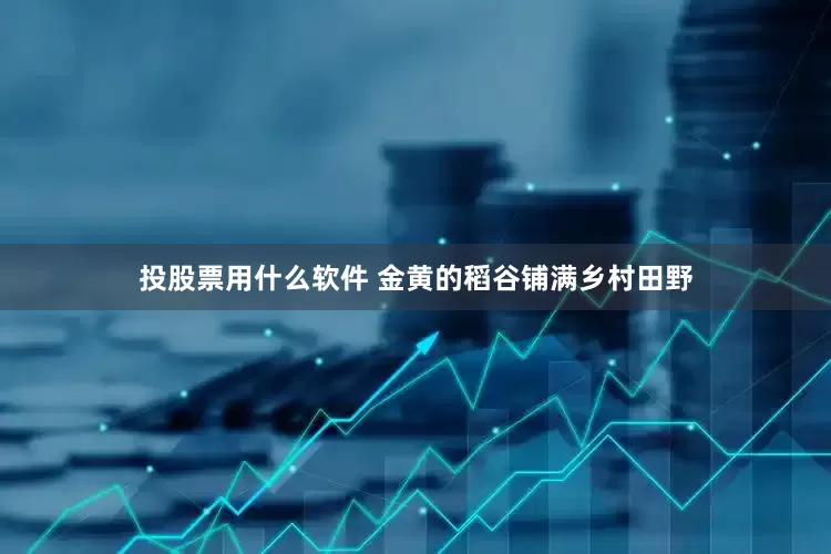 投股票用什么软件 金黄的稻谷铺满乡村田野