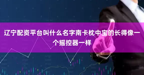 辽宁配资平台叫什么名字南卡枕中宝的长得像一个摇控器一样
